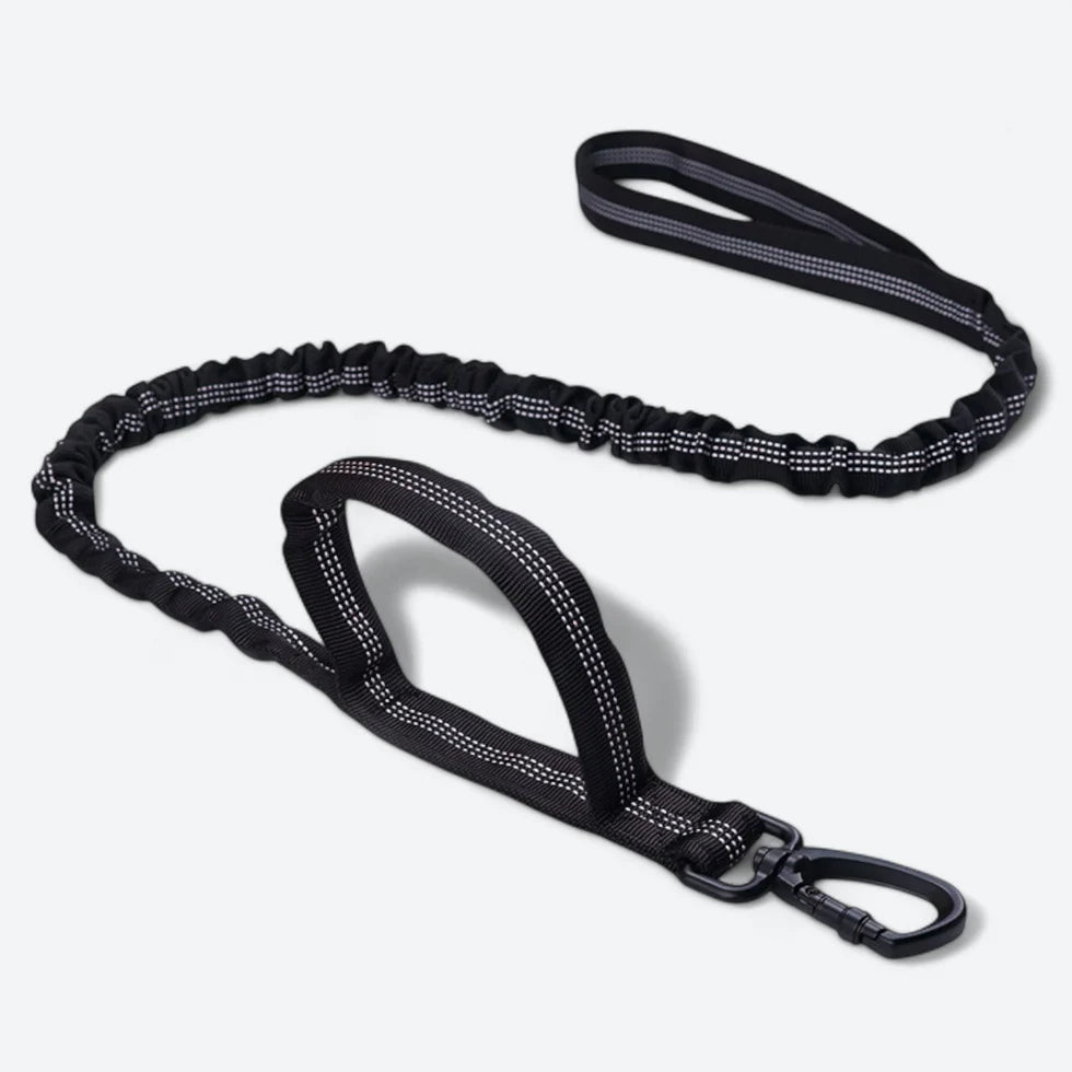 Frenchie-Tactical-Collar-Leash-Set.jpg