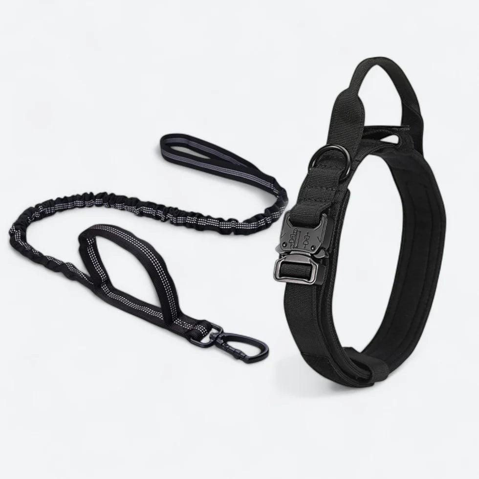 Frenchie-Tactical-Collar-Leash-Set.jpg