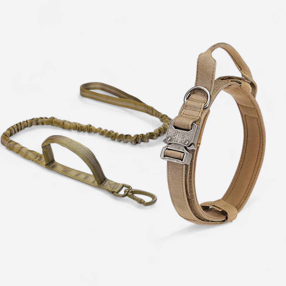 Frenchie-Tactical-Collar-Leash-Set.jpg