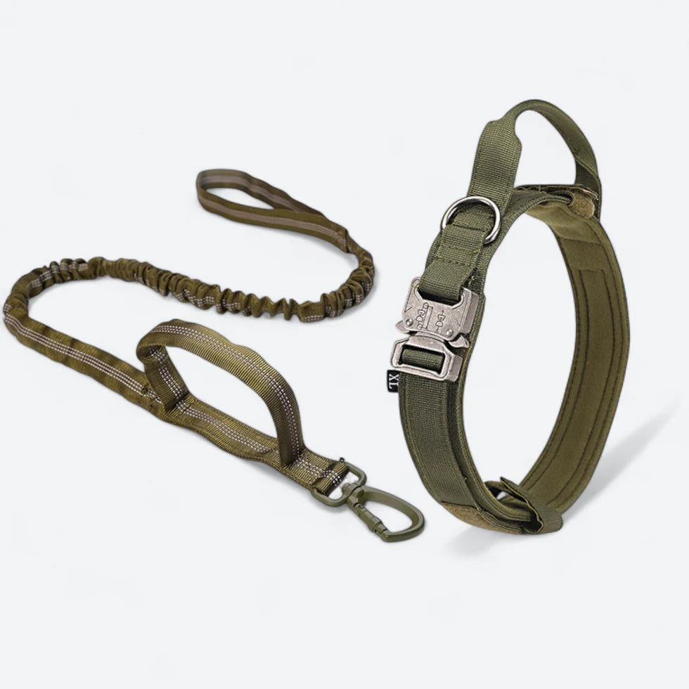 Frenchie-Tactical-Collar-Leash-Set.jpg