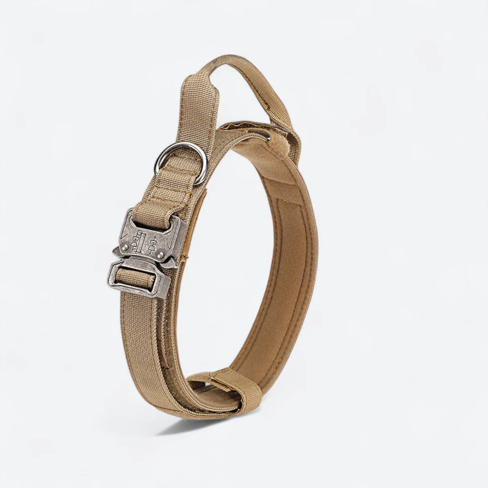 Frenchie-Tactical-Collar-Leash-Set.jpg