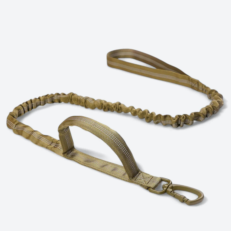 Frenchie-Tactical-Collar-Leash-Set.jpg