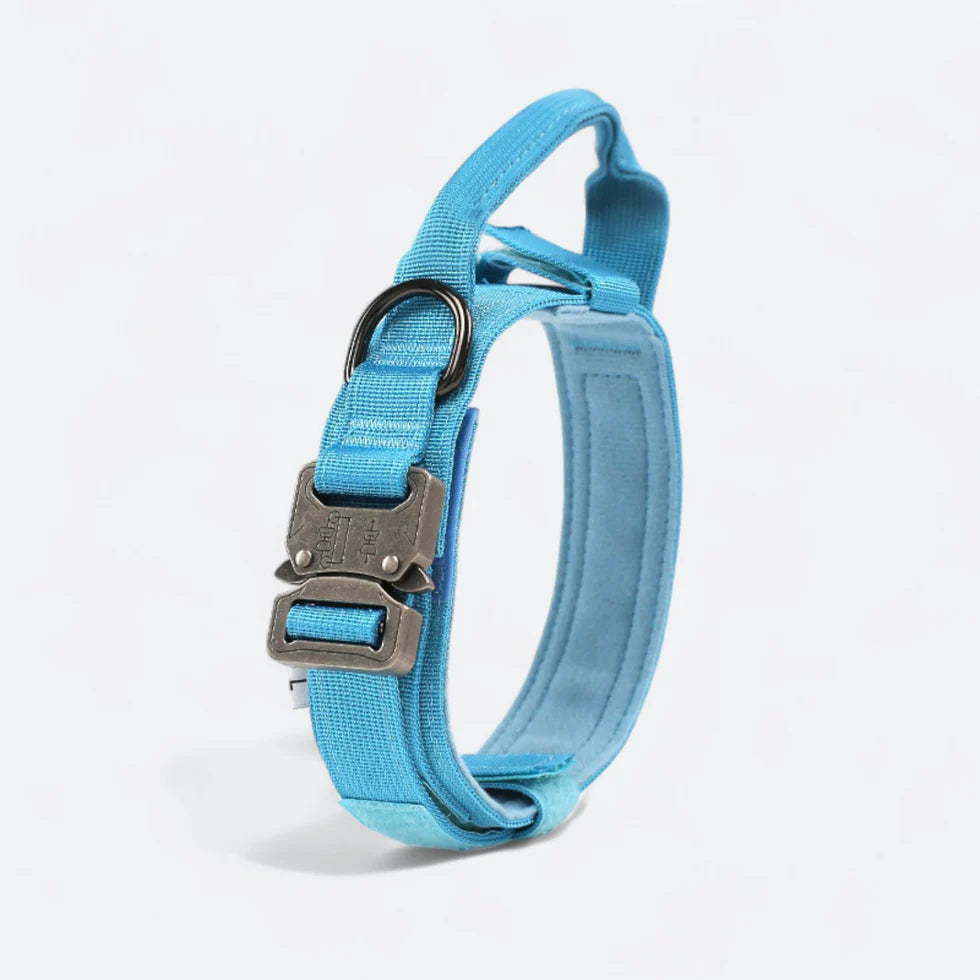 Frenchie-Tactical-Collar-Leash-Set.jpg