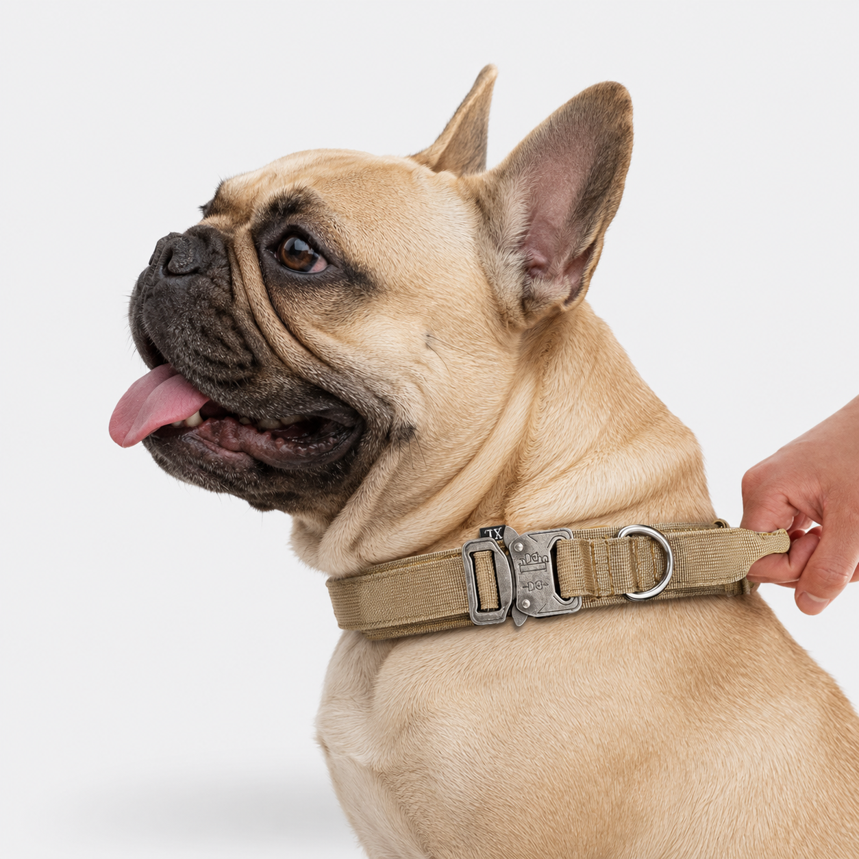 Frenchie-Tactical-Collar-Leash-Set.jpg