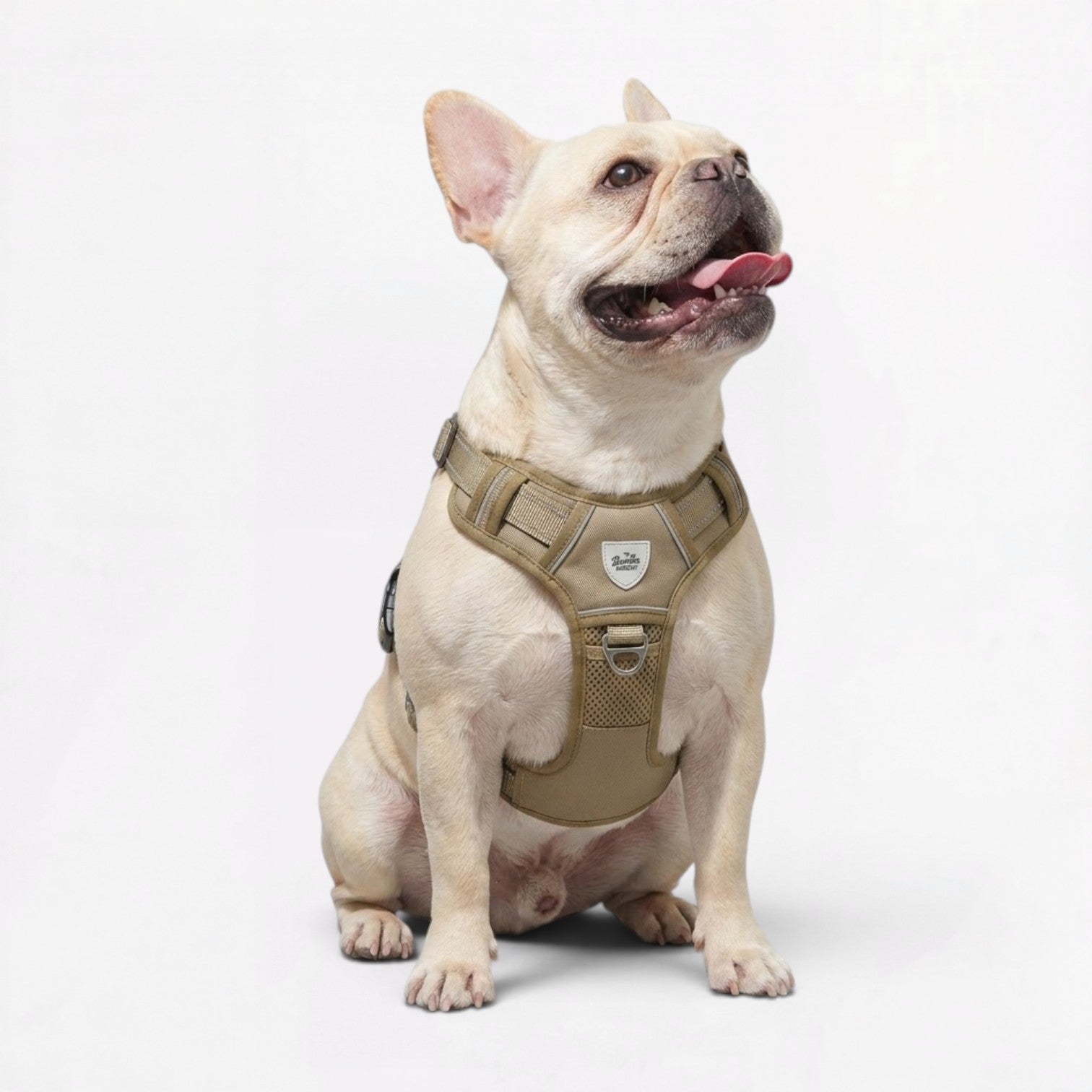 Frenchie-Tactical-No-Pull-Harness-with-Leash.jpg
