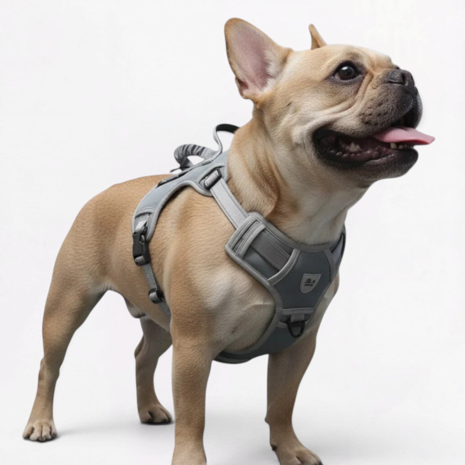 Frenchie-Tactical-No-Pull-Harness-with-Leash.jpg