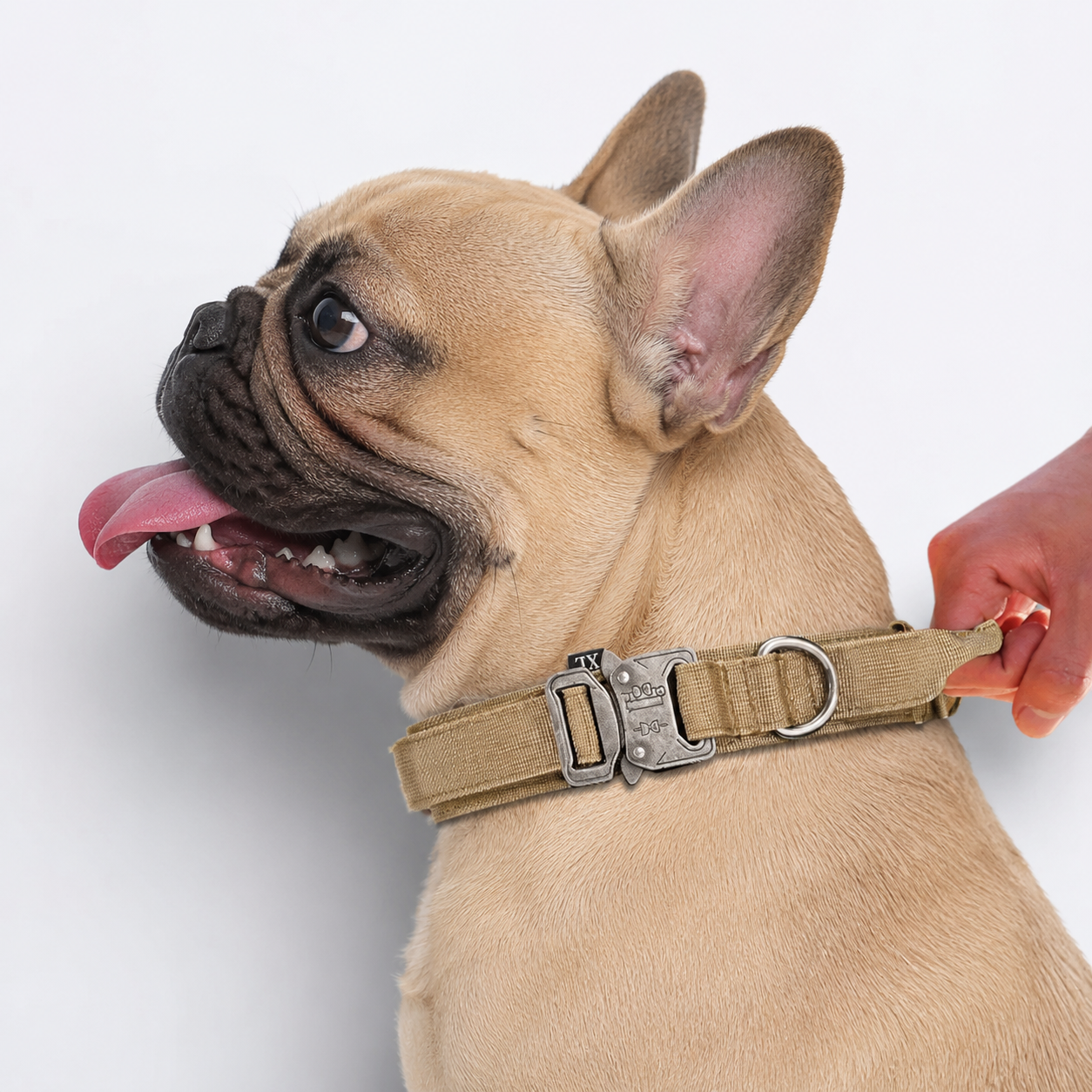 Frenchie-Tactical-Nylon-Collar-Leash-Set.jpg