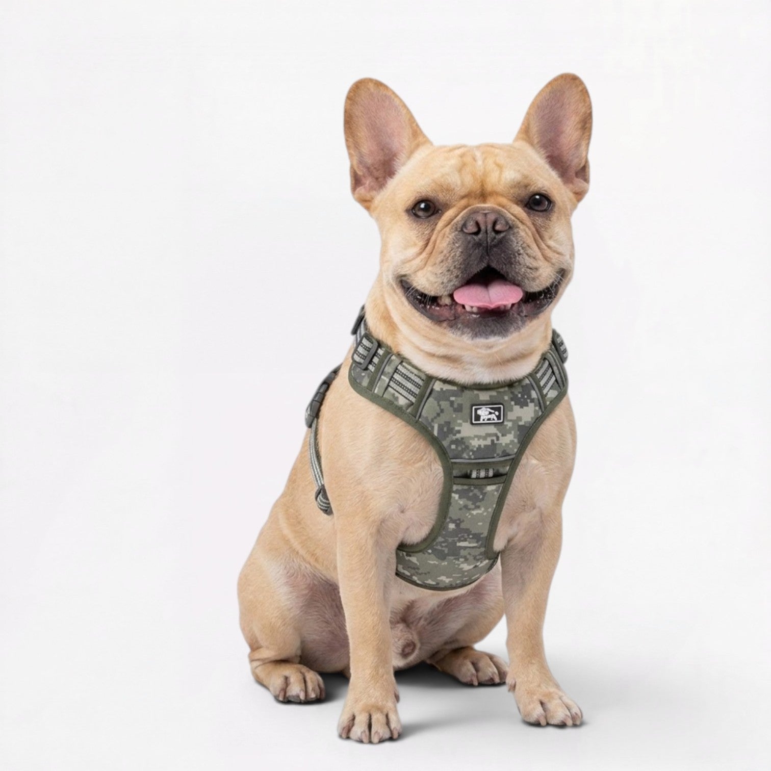 Frenchie-Tactical-Reflective-Gear-Set.jpg