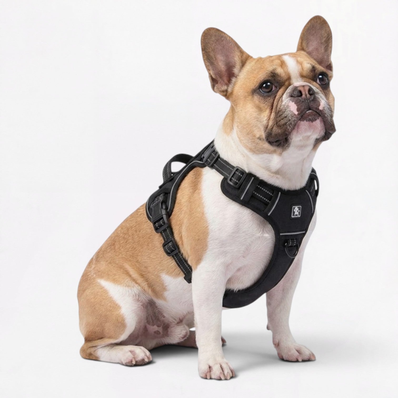 Frenchie-Tactical-Reflective-Gear-Set.jpg
