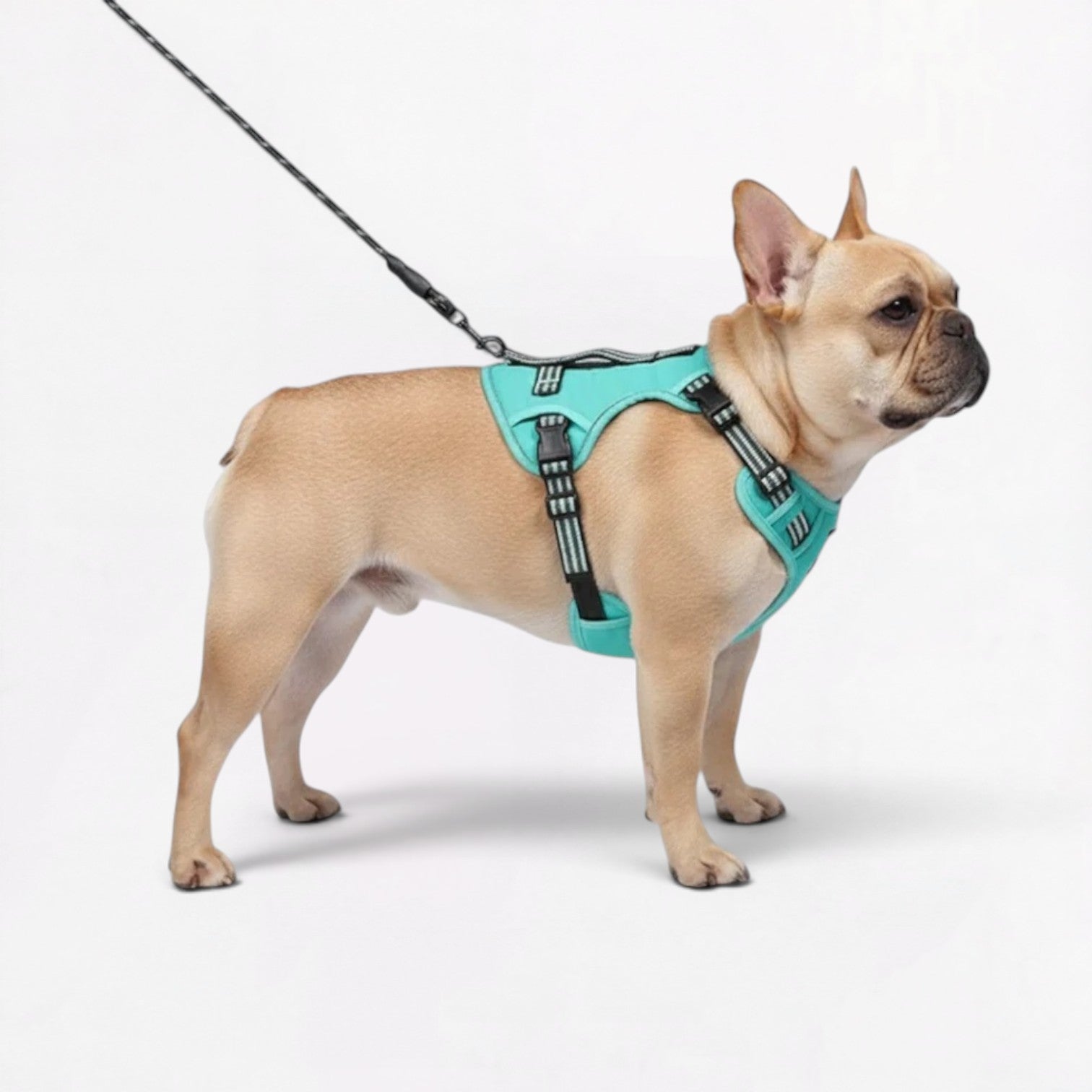 Frenchie-Tactical-Reflective-Gear-Set.jpg