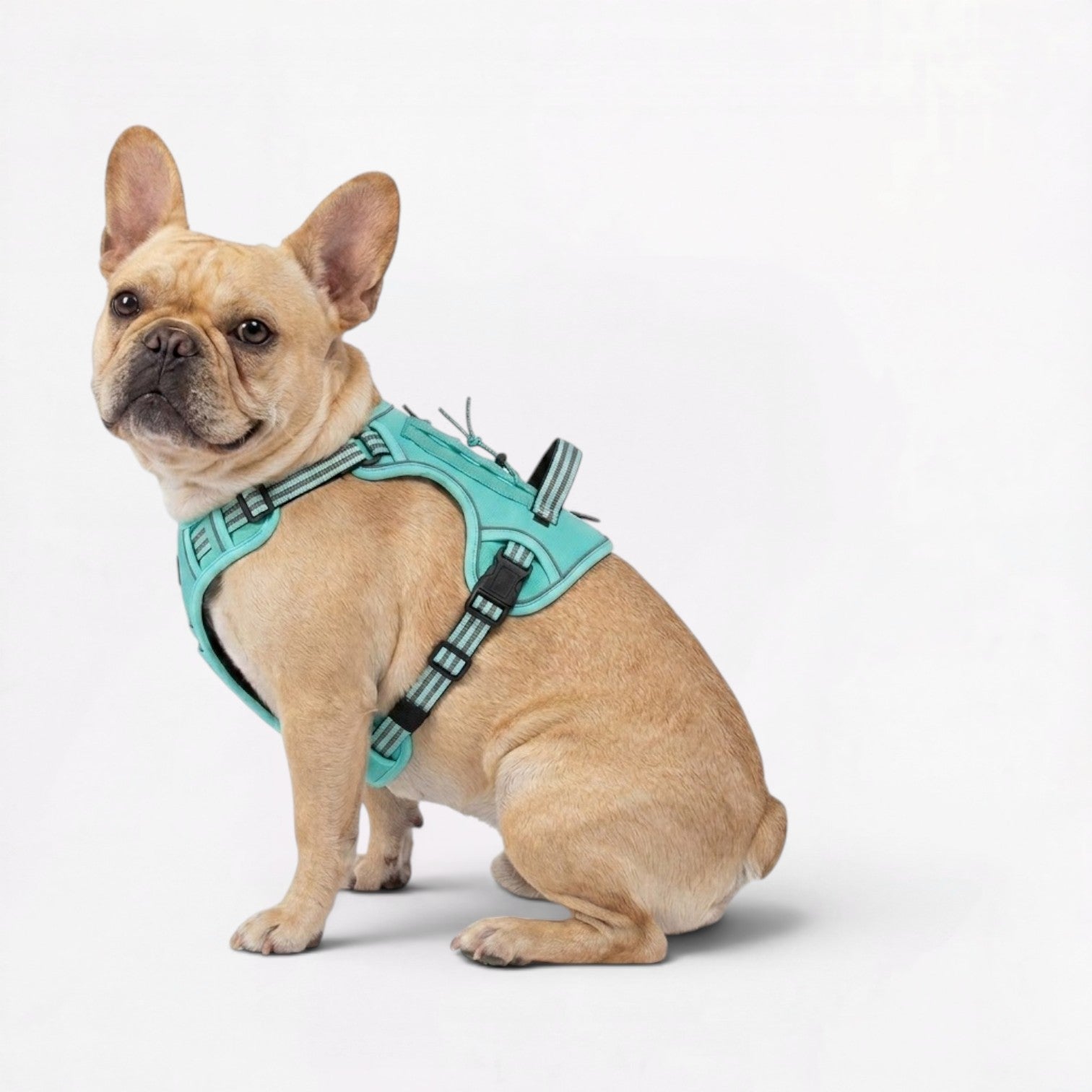 Frenchie-Tactical-Reflective-Gear-Set.jpg