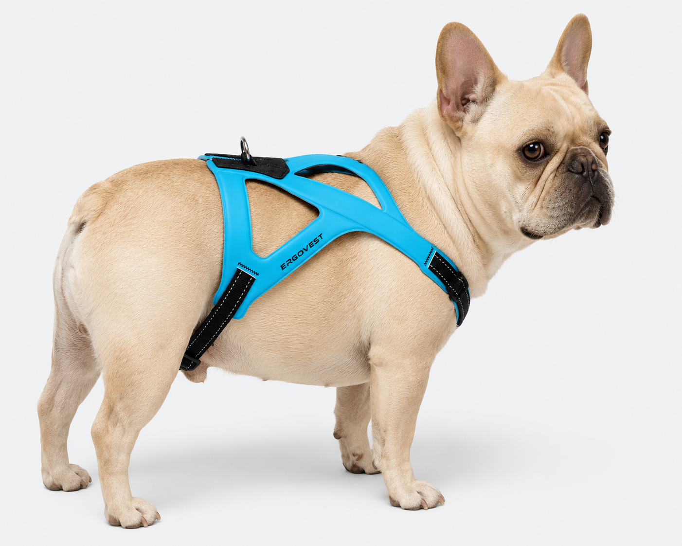 Frenchie-Ultra-Light-Ergonomic-Chest-Harness.jpg