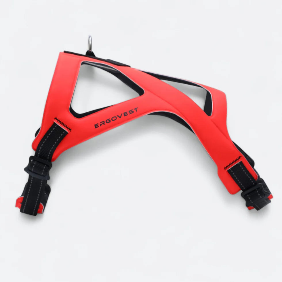 Frenchie-Ultra-Light-Ergonomic-Chest-Harness.jpg