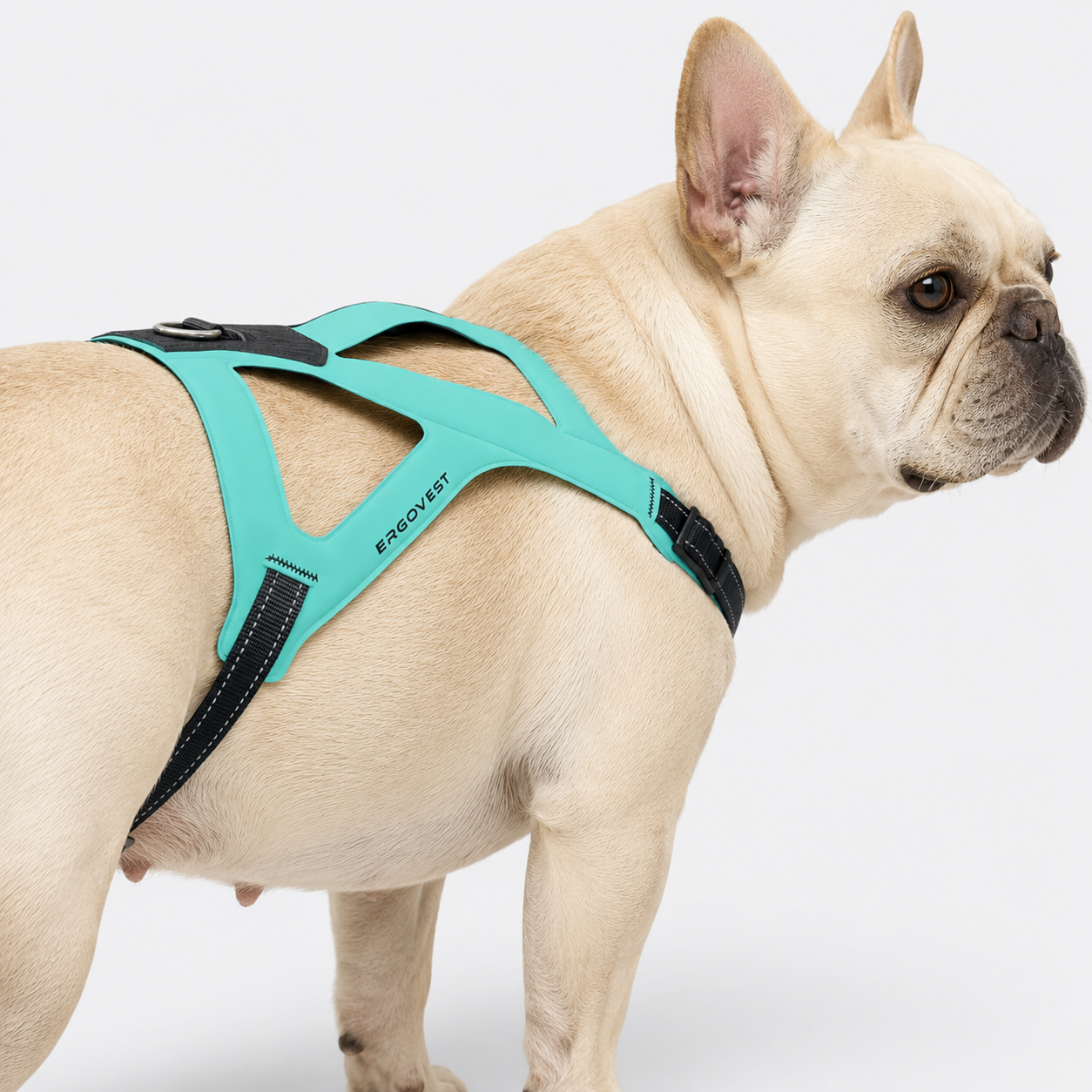 Frenchie-Ultra-Light-Ergonomic-Chest-Harness.jpg
