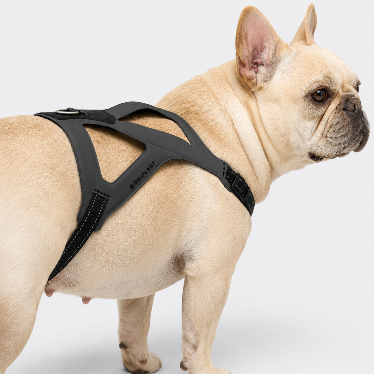 Frenchie-Ultra-Light-Ergonomic-Chest-Harness.jpg