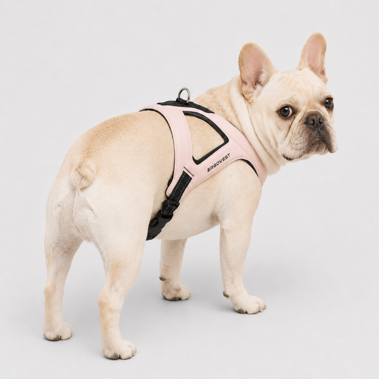 Frenchie-Ultra-Light-Ergonomic-Chest-Harness.jpg