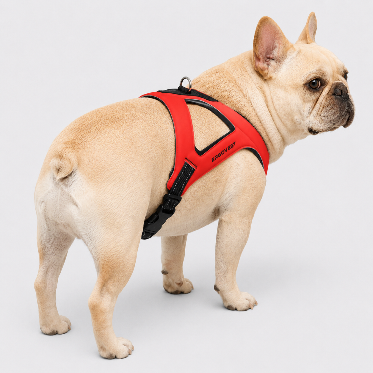 Frenchie-Ultra-Light-Ergonomic-Chest-Harness.jpg