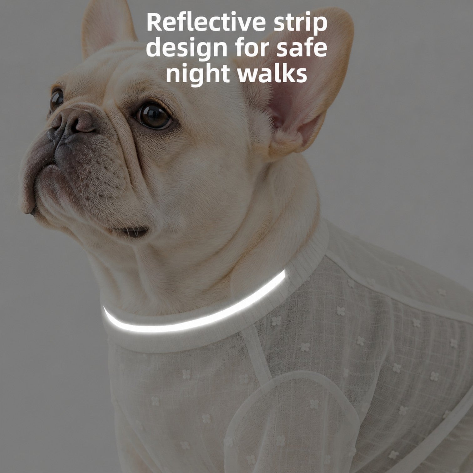 Frenchie-Ultra-Light-Waterproof-Jumpsuit.jpg