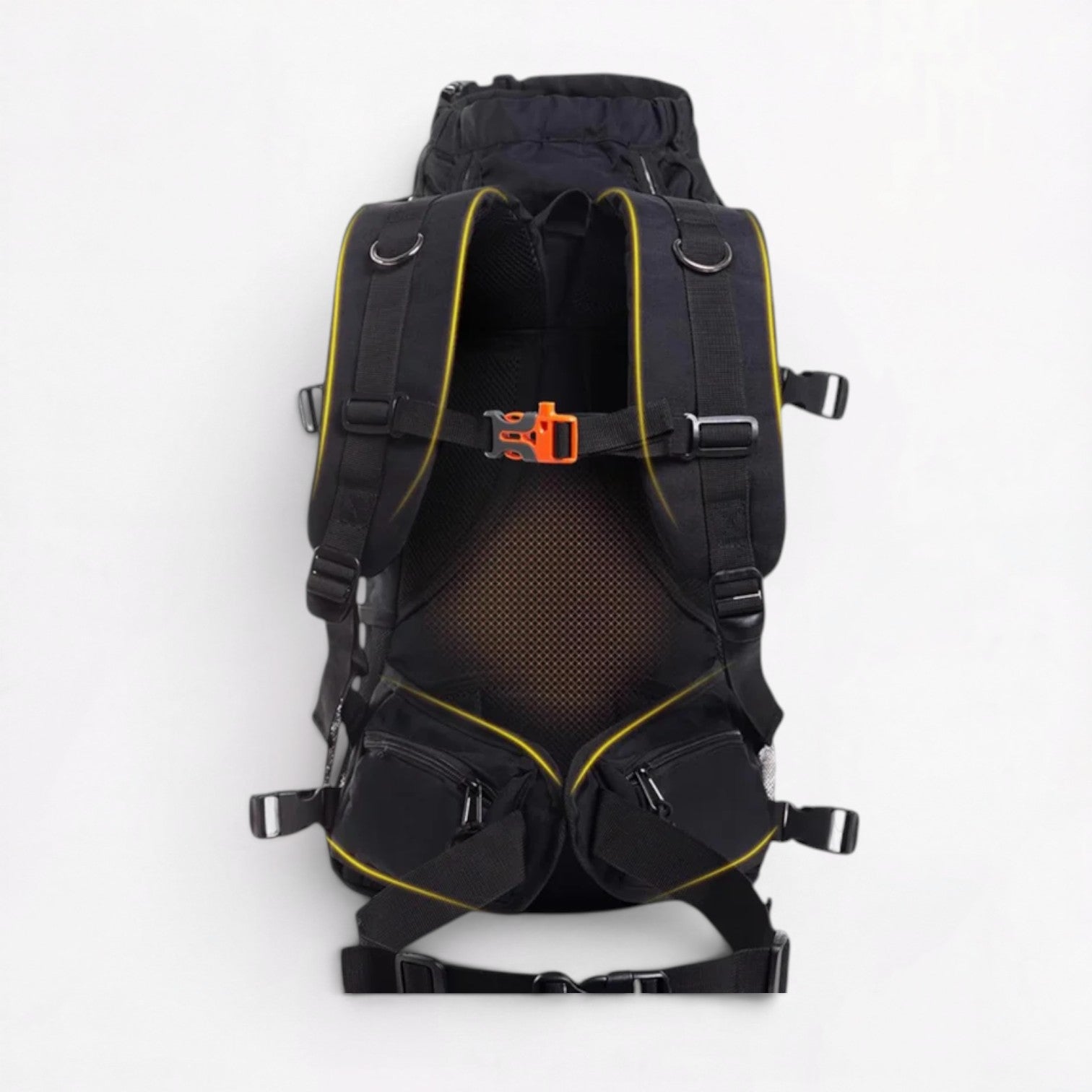 Frenchie-Ventilated-Carrier-Backpack.jpg