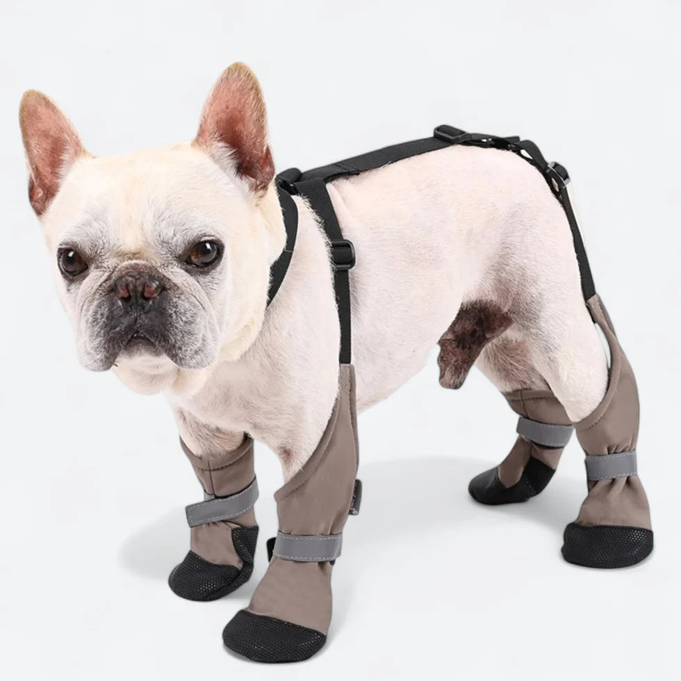 Frenchie-Waterproof-Boots-Harness-Set.jpg