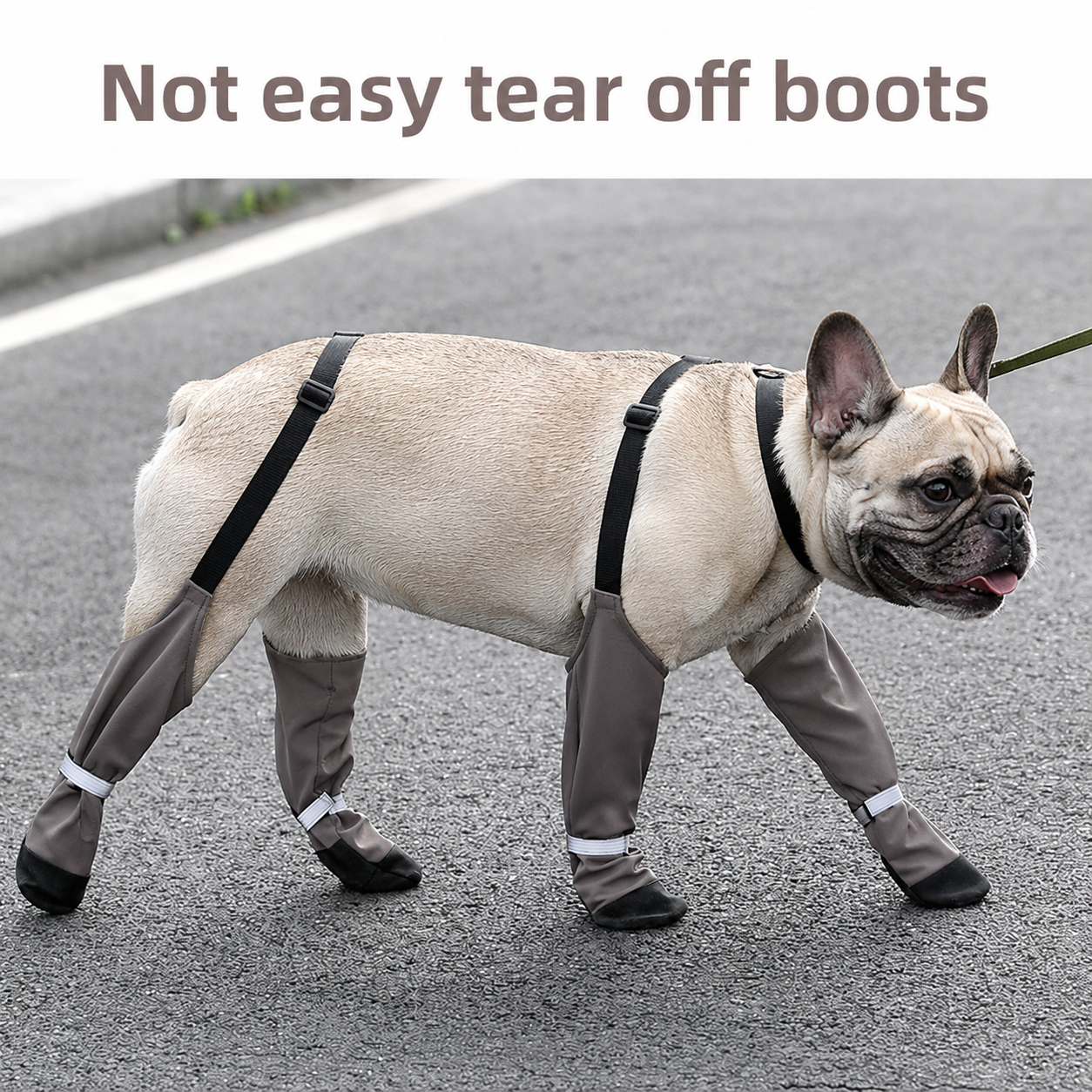 Frenchie-Waterproof-Boots-Harness-Set.jpg