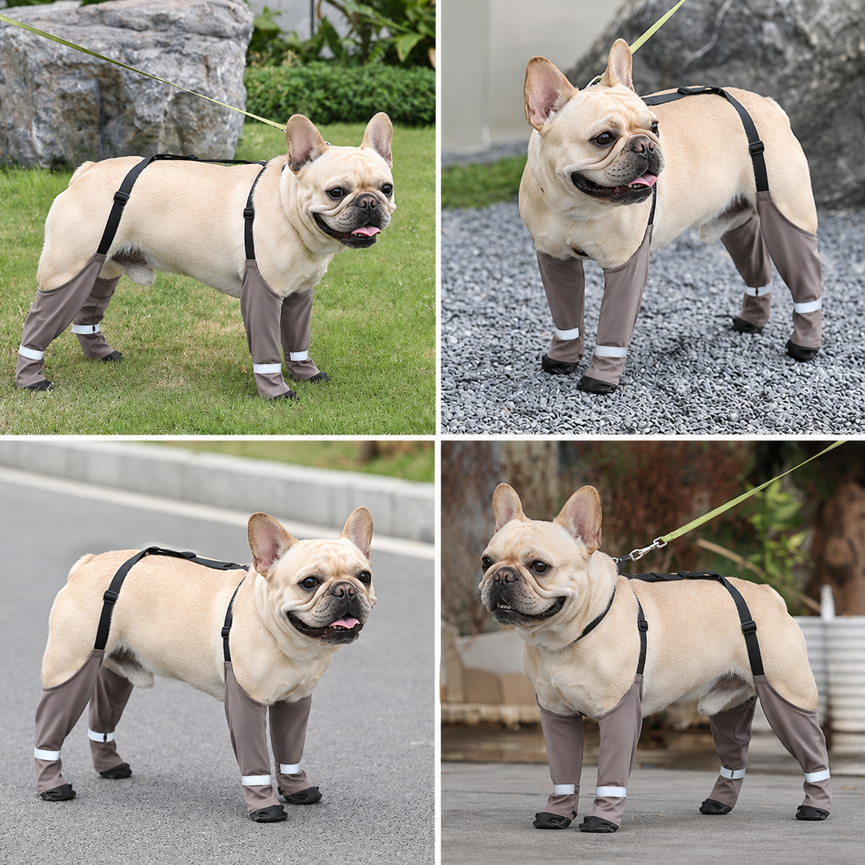 Frenchie-Waterproof-Boots-Harness-Set.jpg