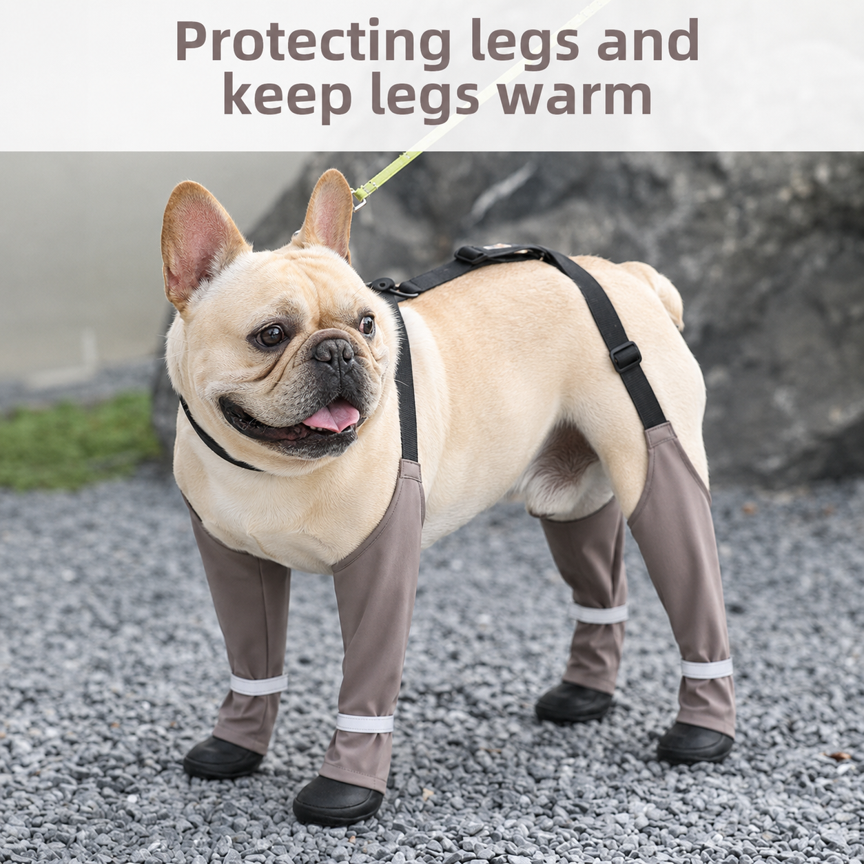 Frenchie-Waterproof-Boots-Harness-Set.jpg