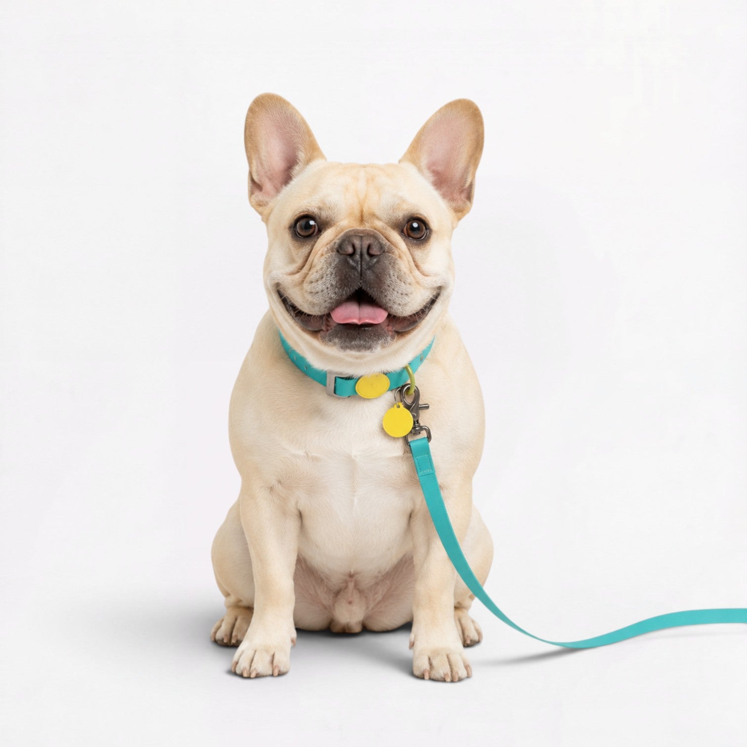 Frenchie-Waterproof-Collar-Leash-Set.jpg