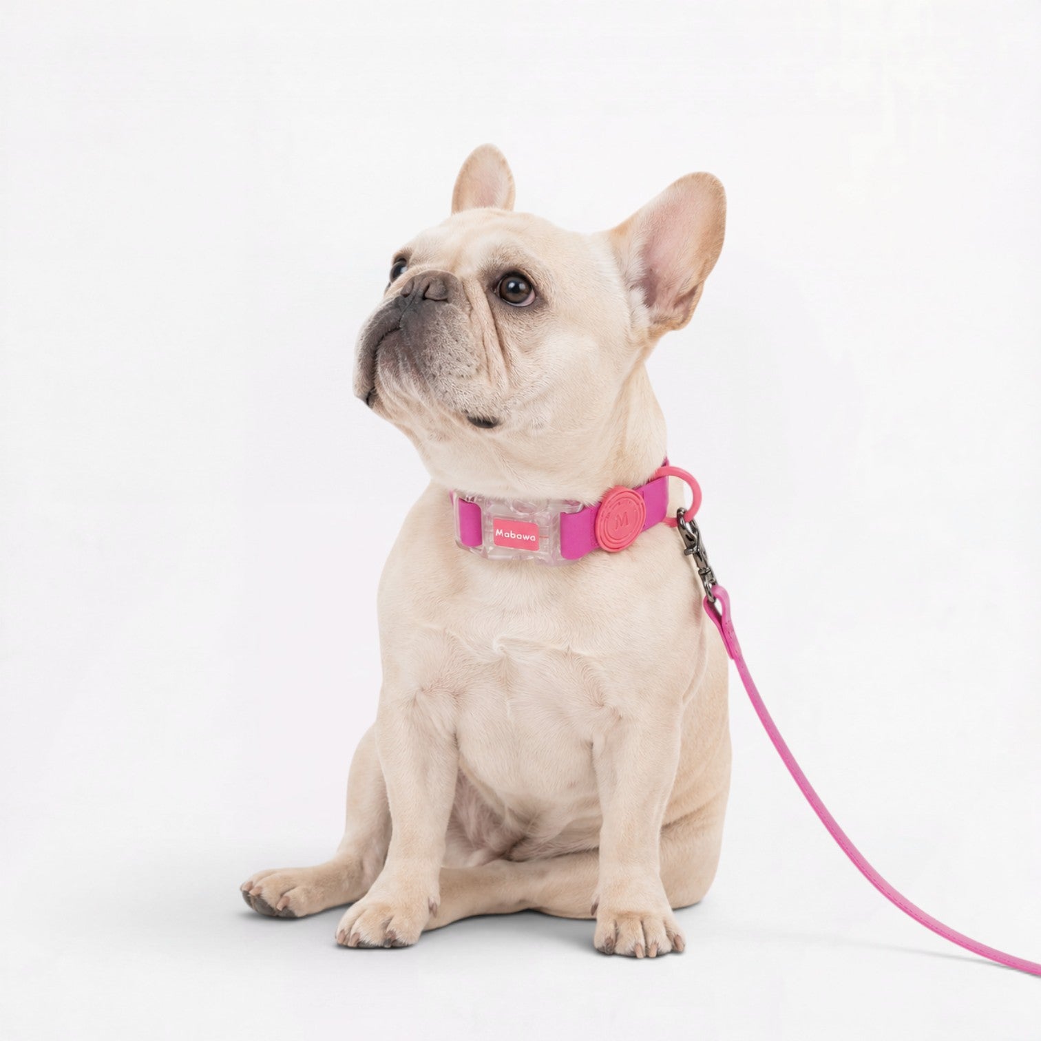 Frenchie-Waterproof-Collar-Leash-Set.jpg