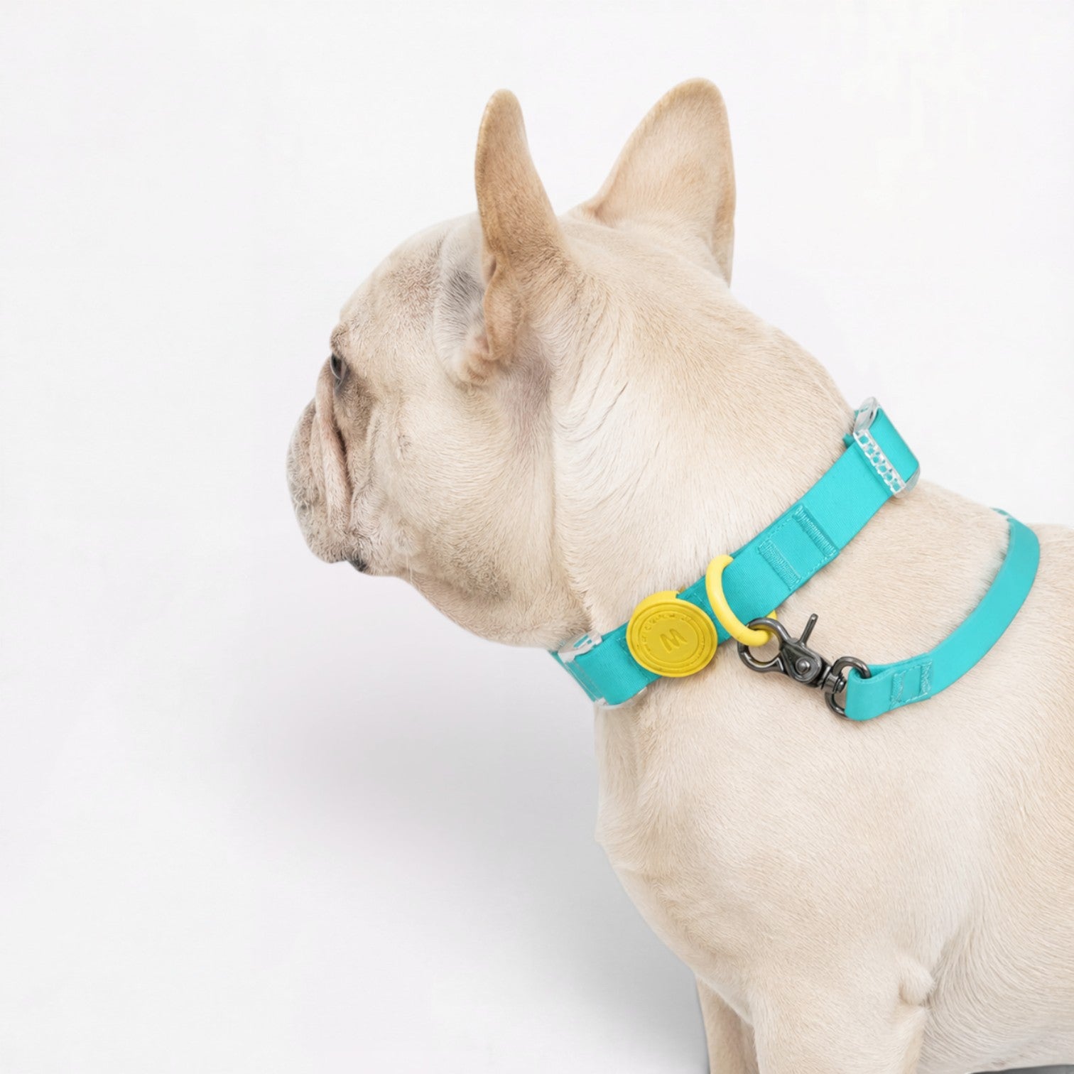 Frenchie-Waterproof-Collar-Leash-Set.jpg