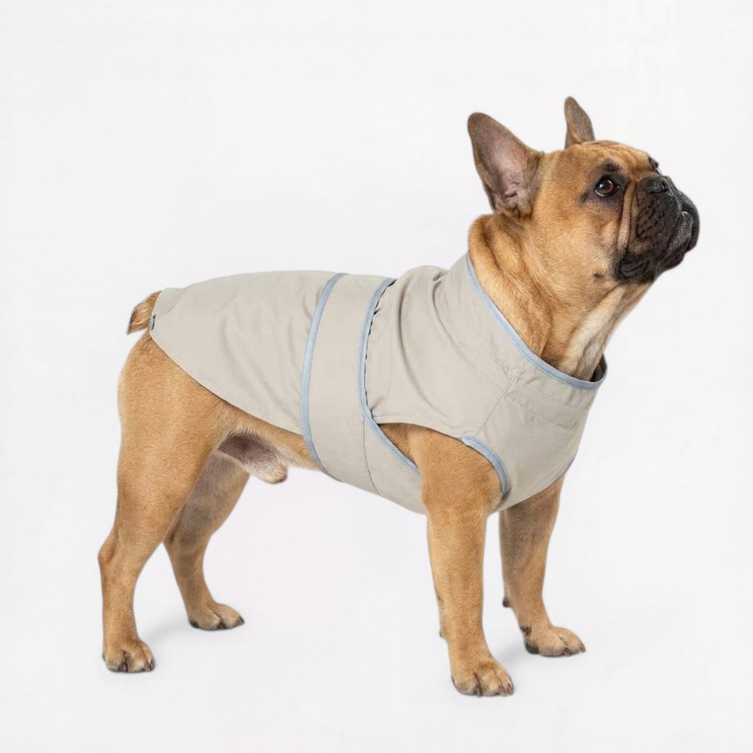 Frenchie-Waterproof-Heavy-Duty-Outdoor-Jacket.jpg