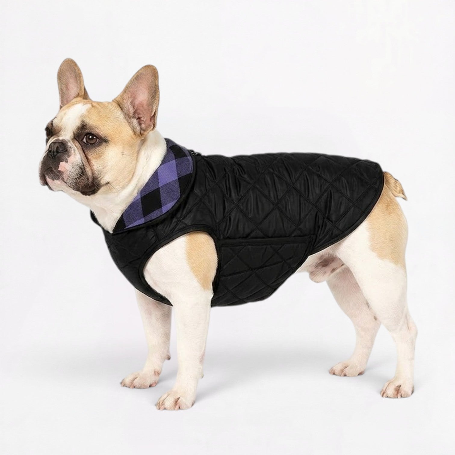 Frenchie-Windproof-Reversible-Quilted-Jacket.jpg