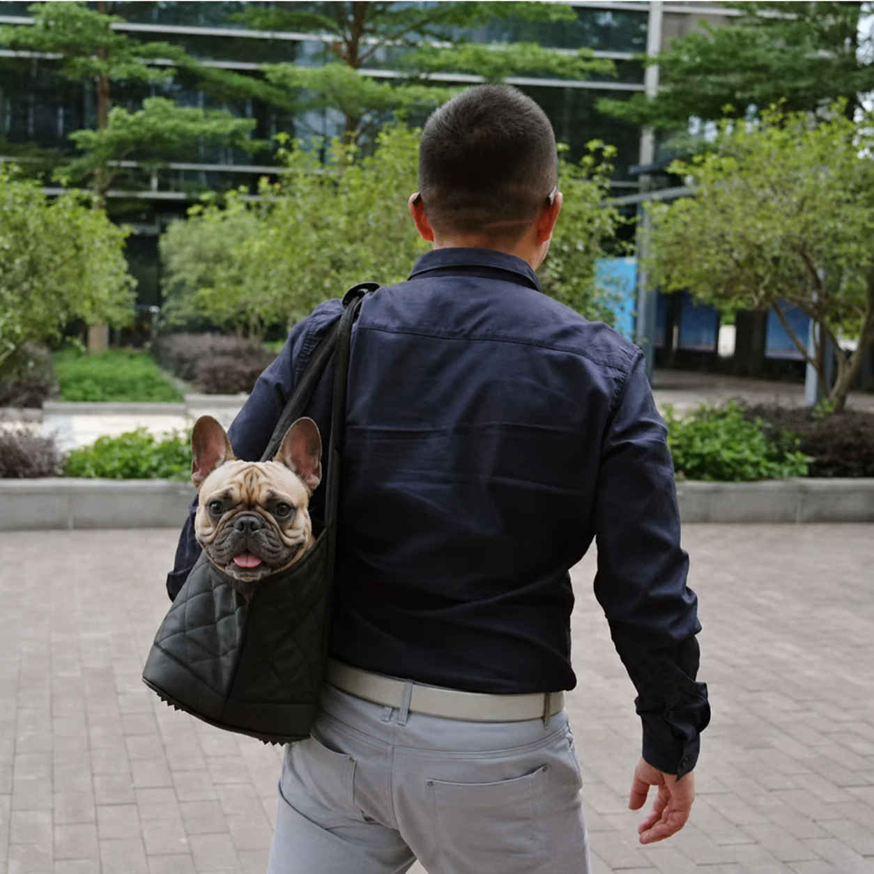 Luxury-Frenchie-Reversible-Quilted-Carrier.jpg