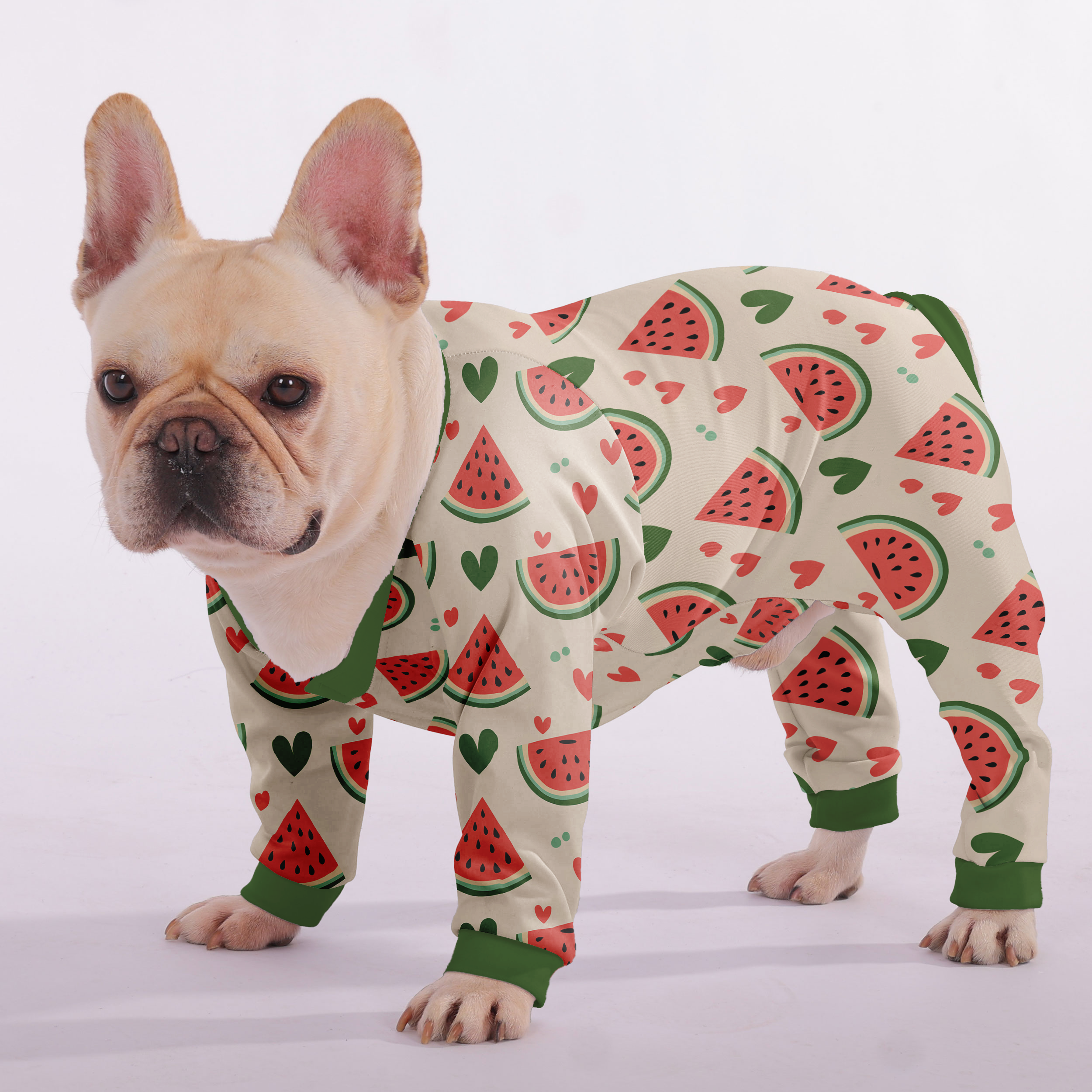 Princess - Frenchie Pajamas – Lightweight, Stretchy, Cozy & Festively Stylish