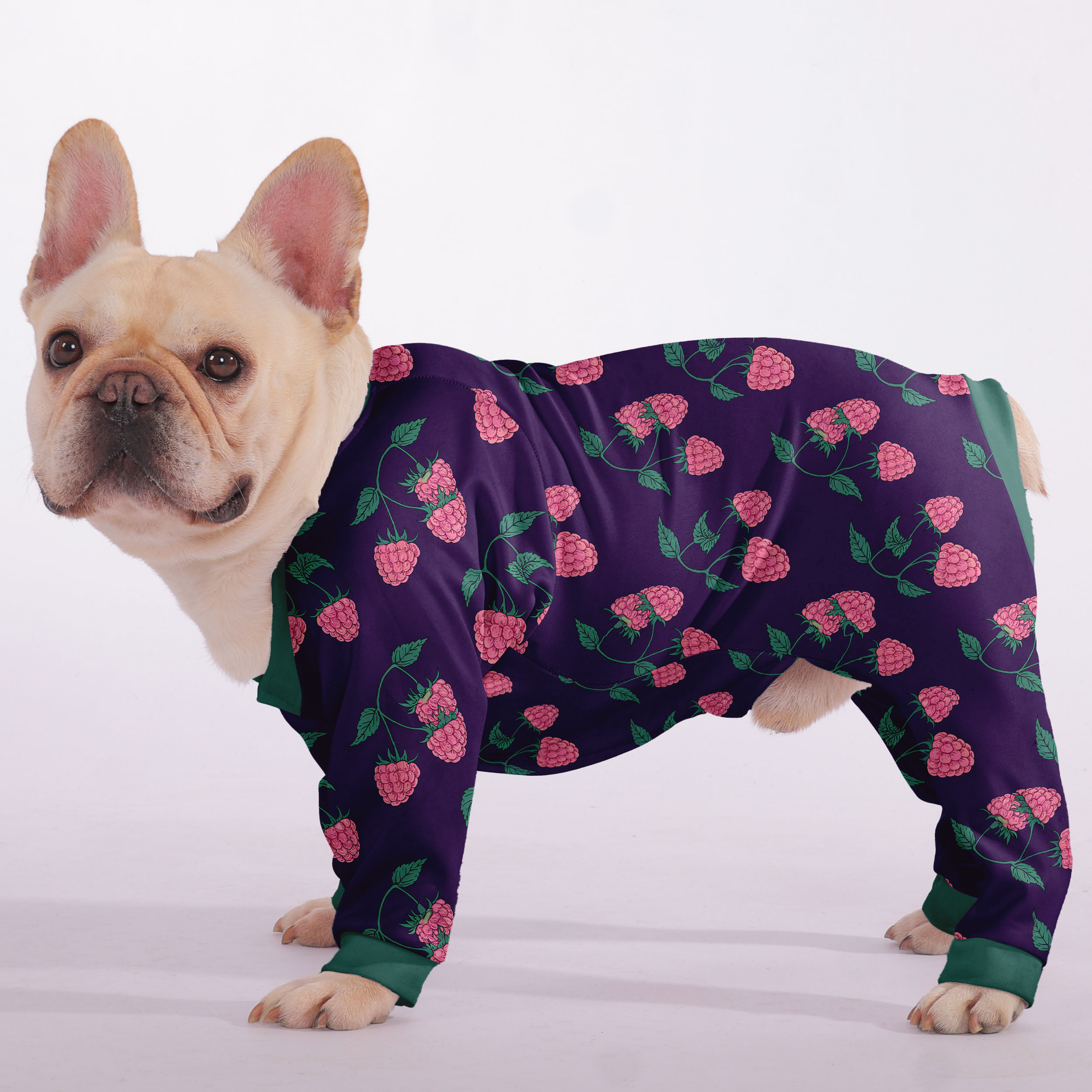 Bentley - Frenchie Pajamas – Lightweight, Stretchy, Cozy & Festively Stylish