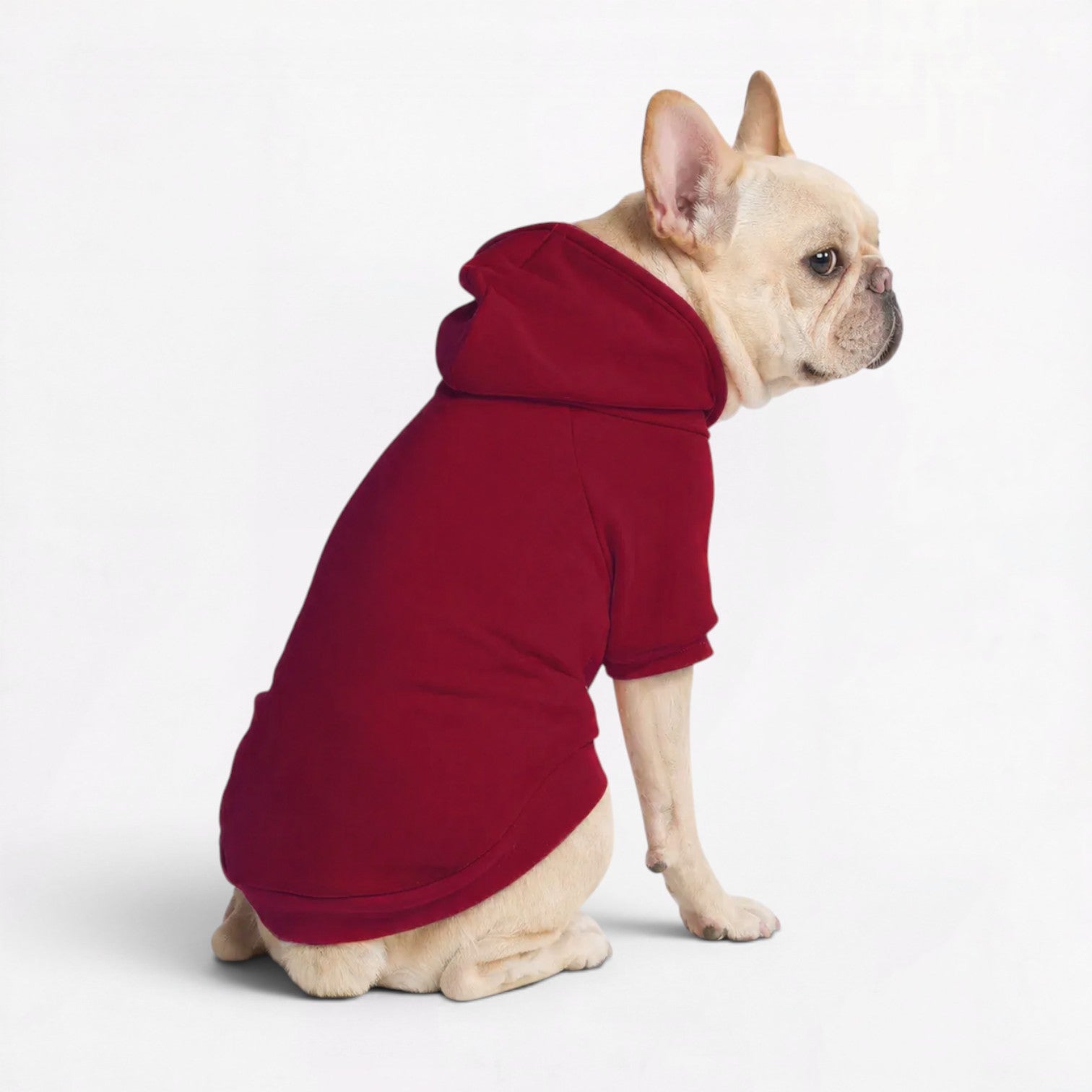 Plus-Velvet-Frenchie-Owner-Matching-Hoodie.jpg