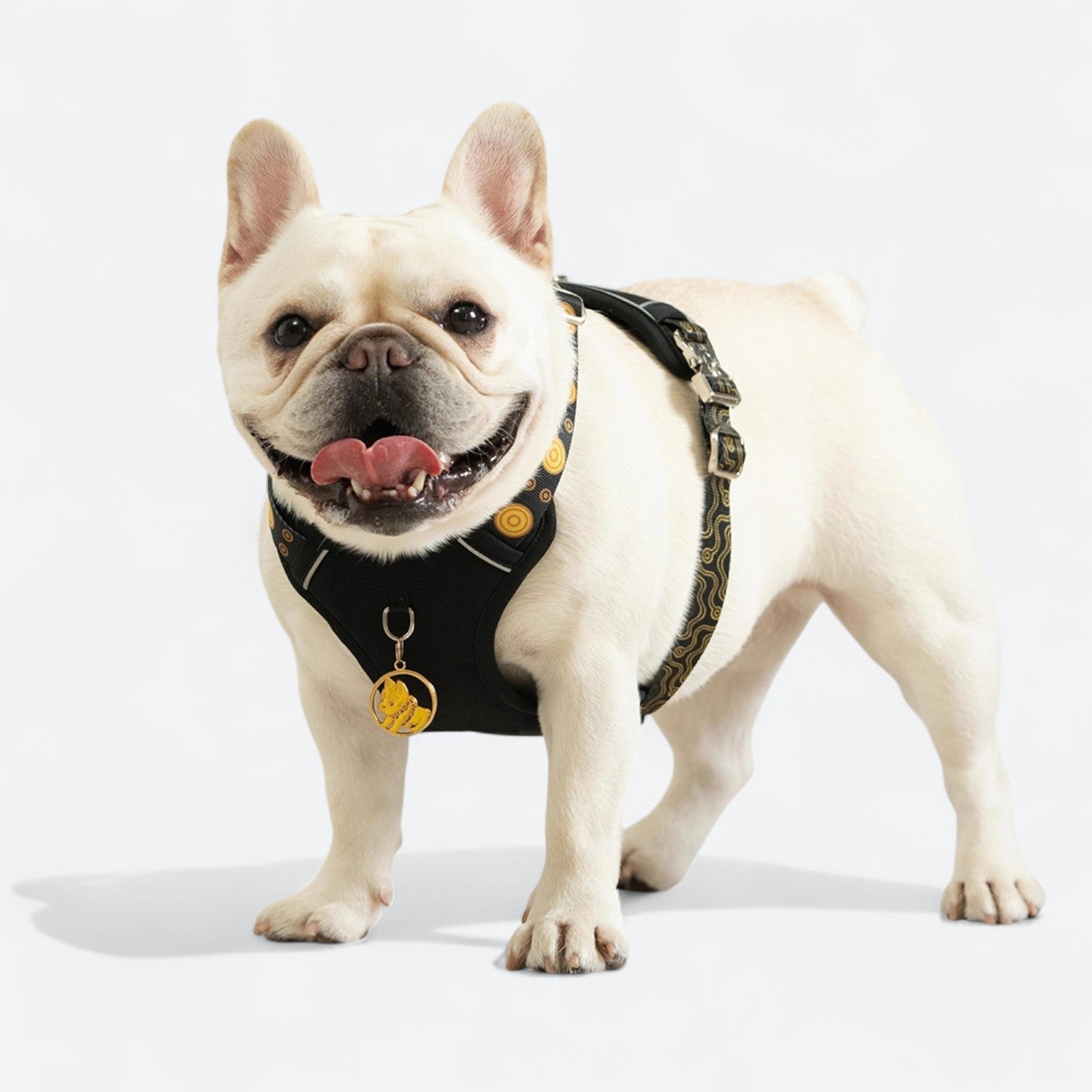 Reflective Frenchie Harness Set with Leash Collar - Frenchie.us