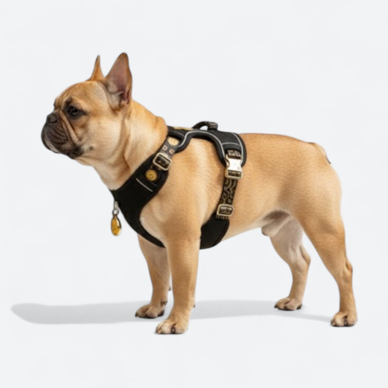 Reflective Frenchie Harness Set with Leash Collar - Frenchie.us