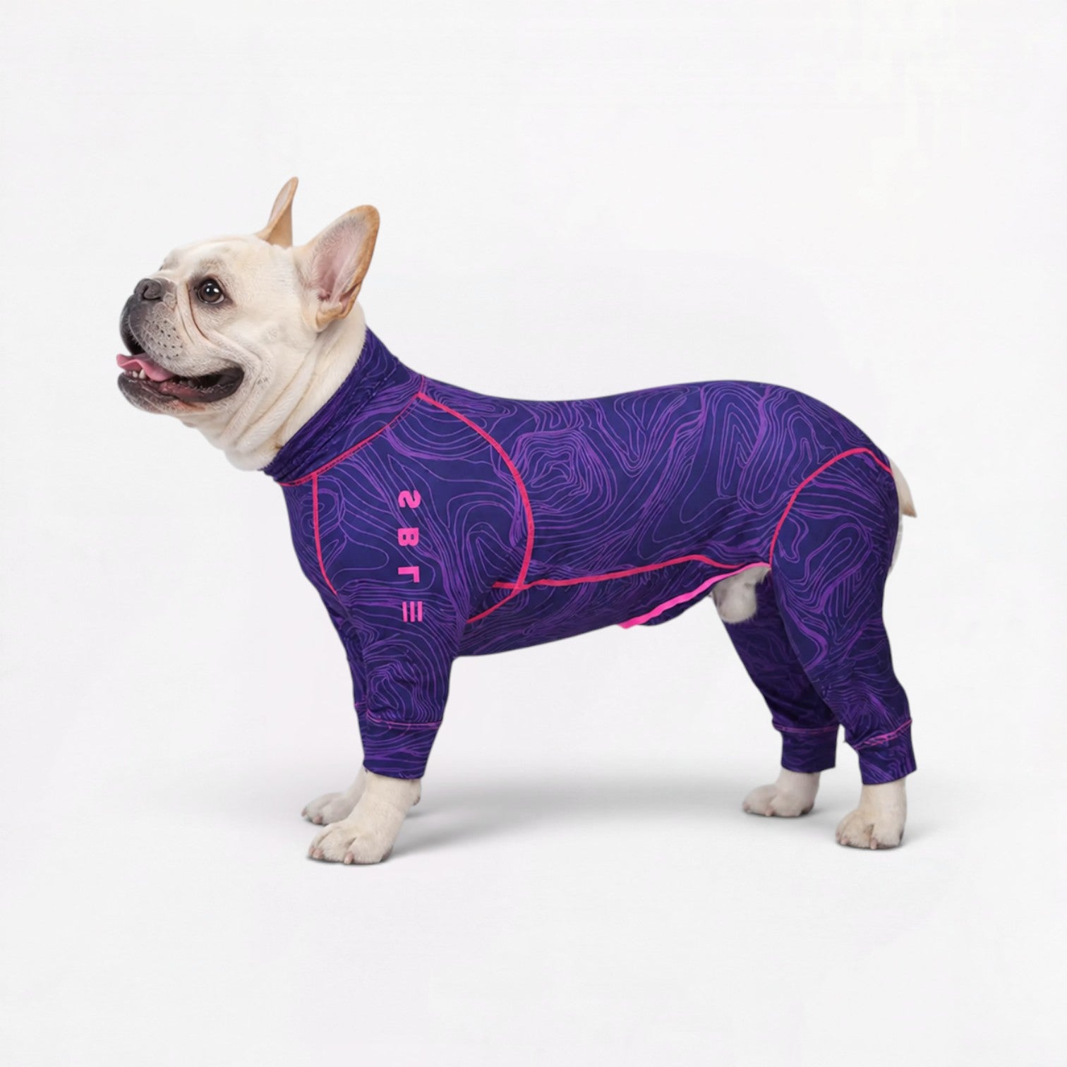 UPF-50+-Full-Body-Frenchie-Pajamas.jpg