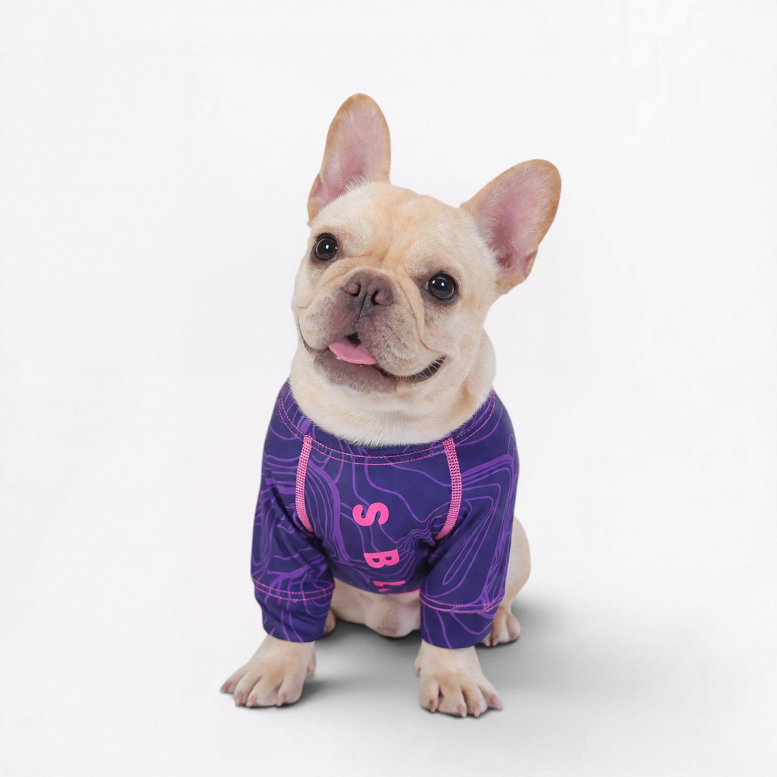 UPF-50+-Full-Body-Frenchie-Pajamas.jpg