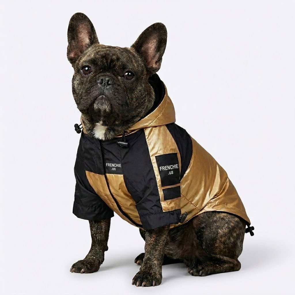 Frenchie Face Raincoat - Frenchie.us