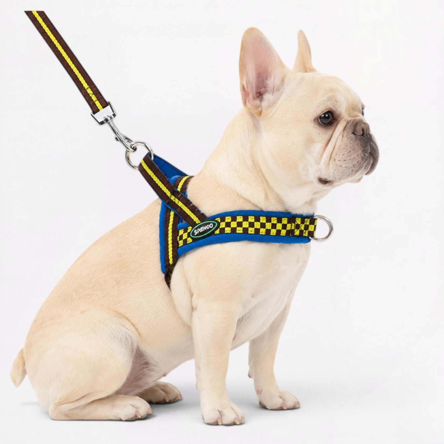 Frenchie Adjustable Checkered Padded Harness