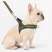 Frenchie Adjustable Checkered Padded Harness