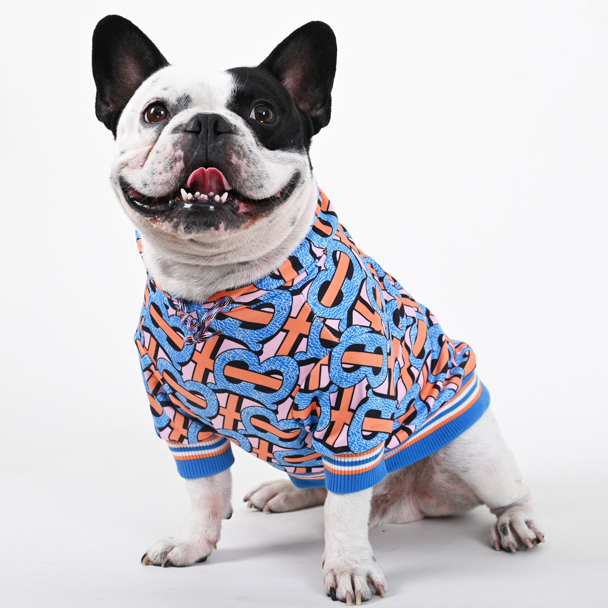 Billionaire - French bulldog Hoodie - Frenchie.us