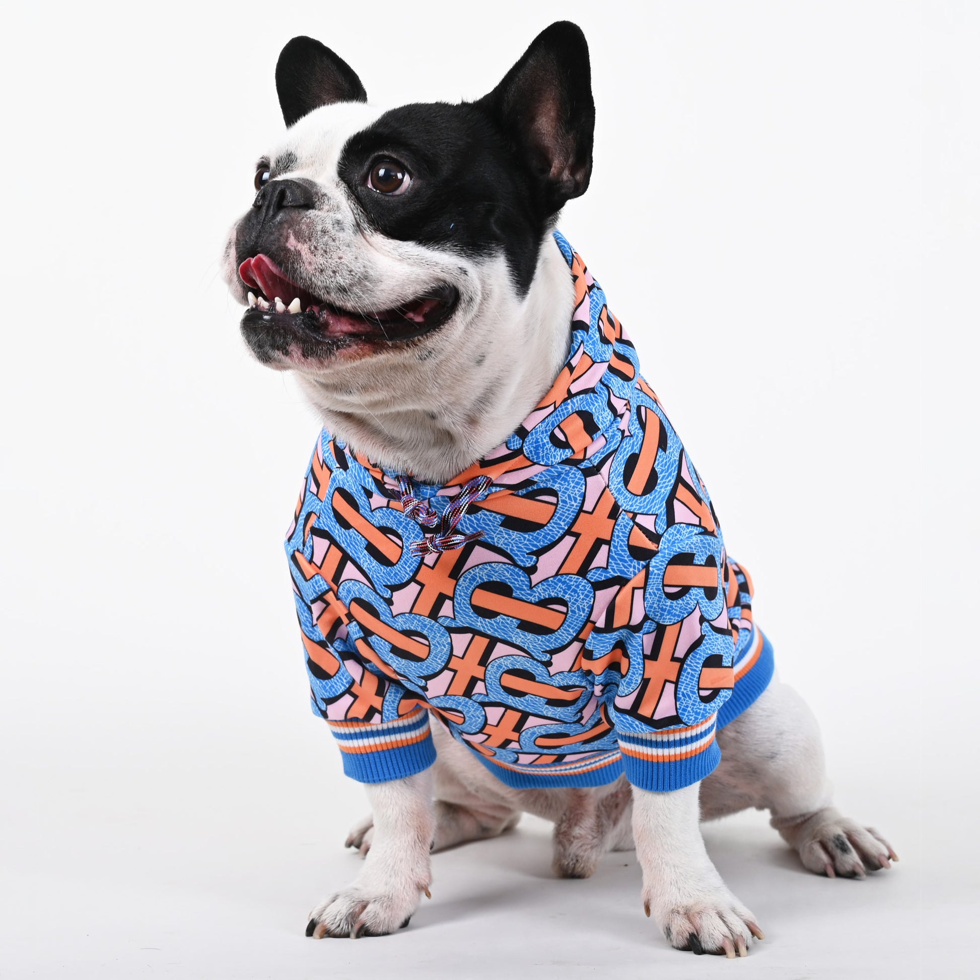 Billionaire - French bulldog Hoodie - Frenchie.us