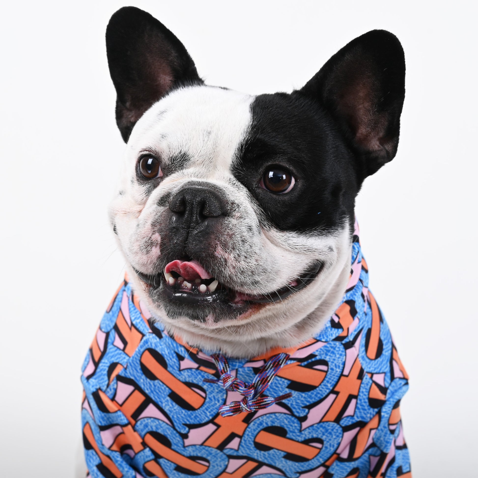 Billionaire - French bulldog Hoodie - Frenchie.us