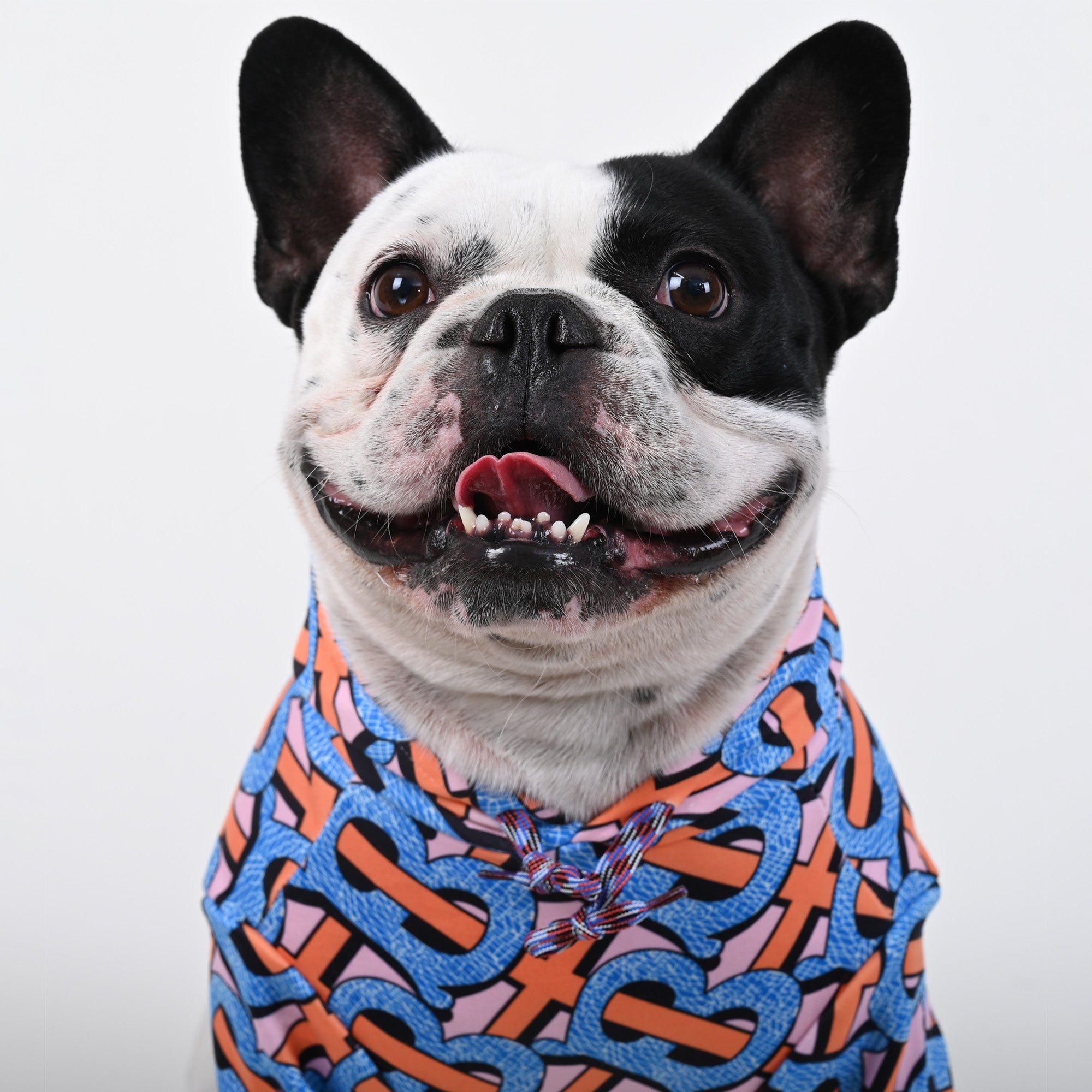 Billionaire - French bulldog Hoodie - Frenchie.us