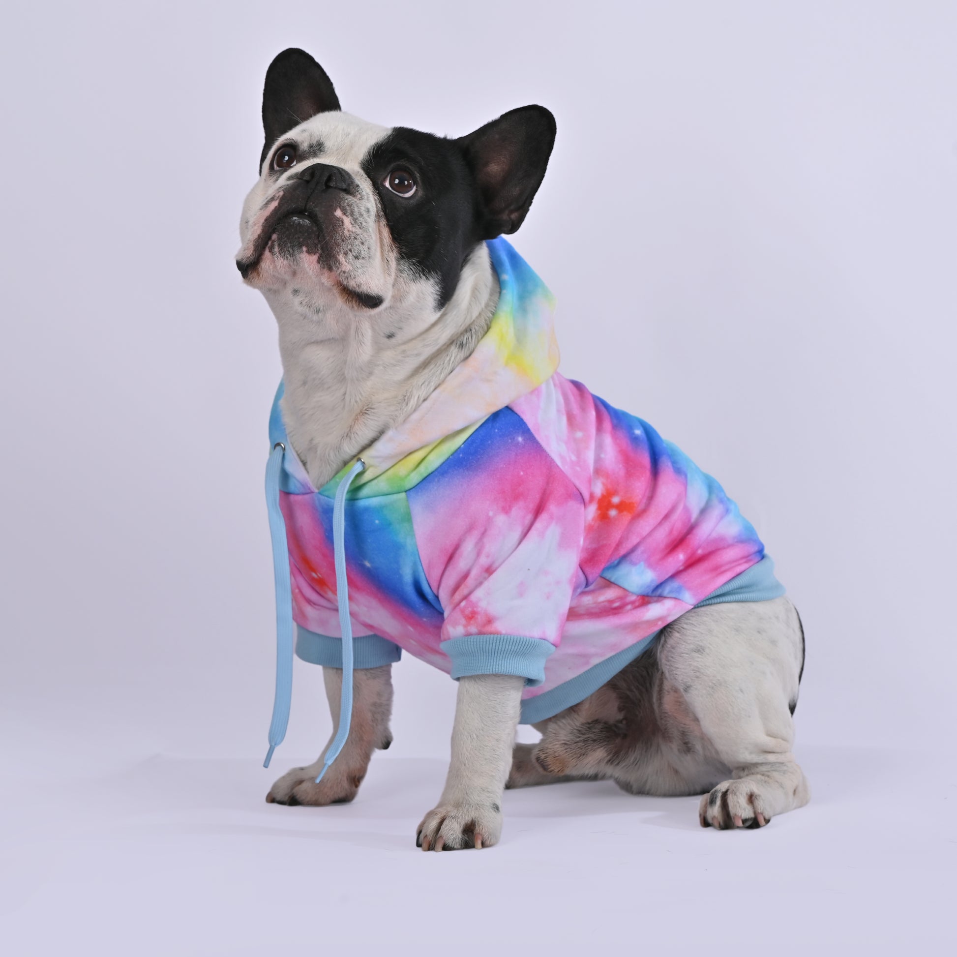 It's In The Stars Hoodie - Frenchie.us