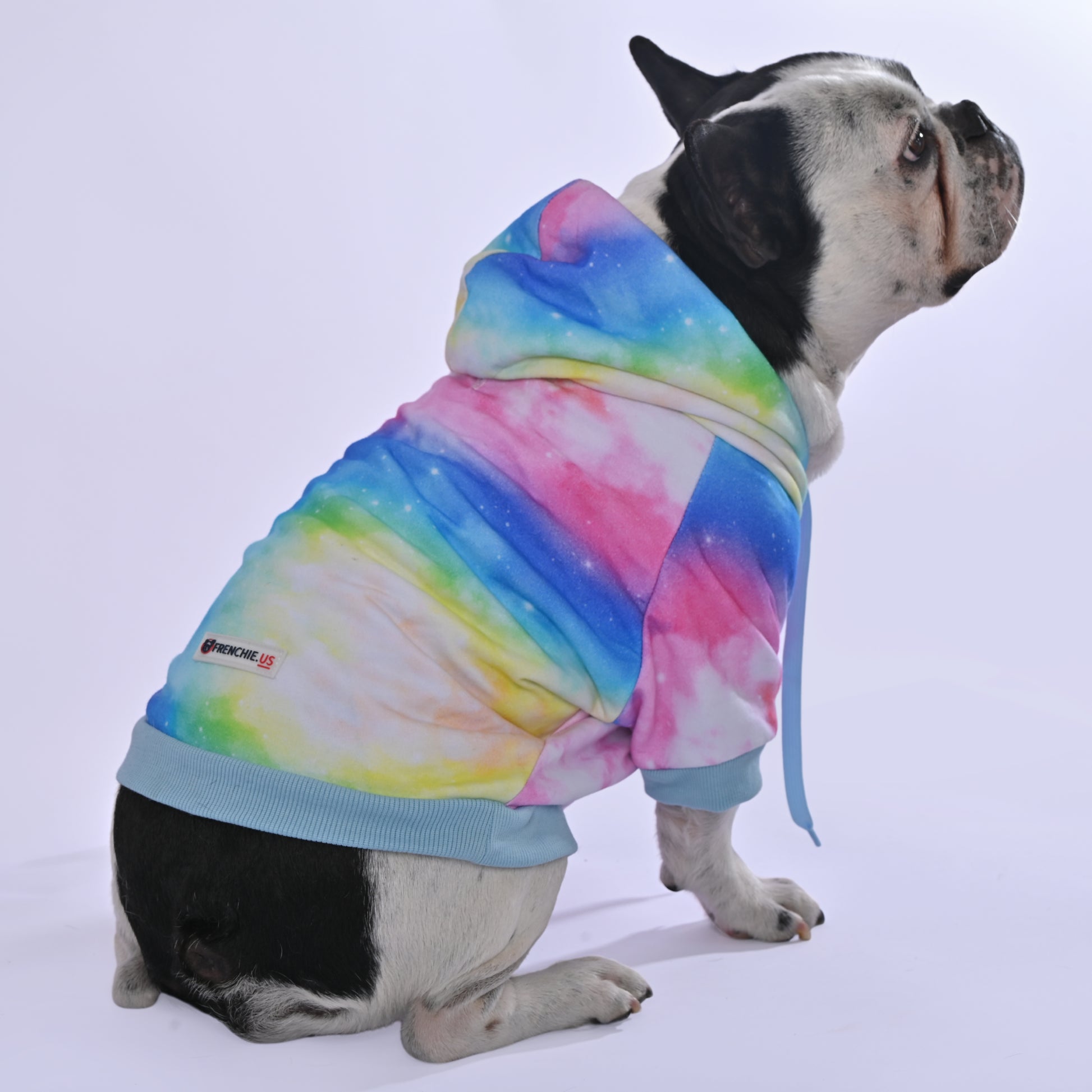 It's In The Stars Hoodie - Frenchie.us