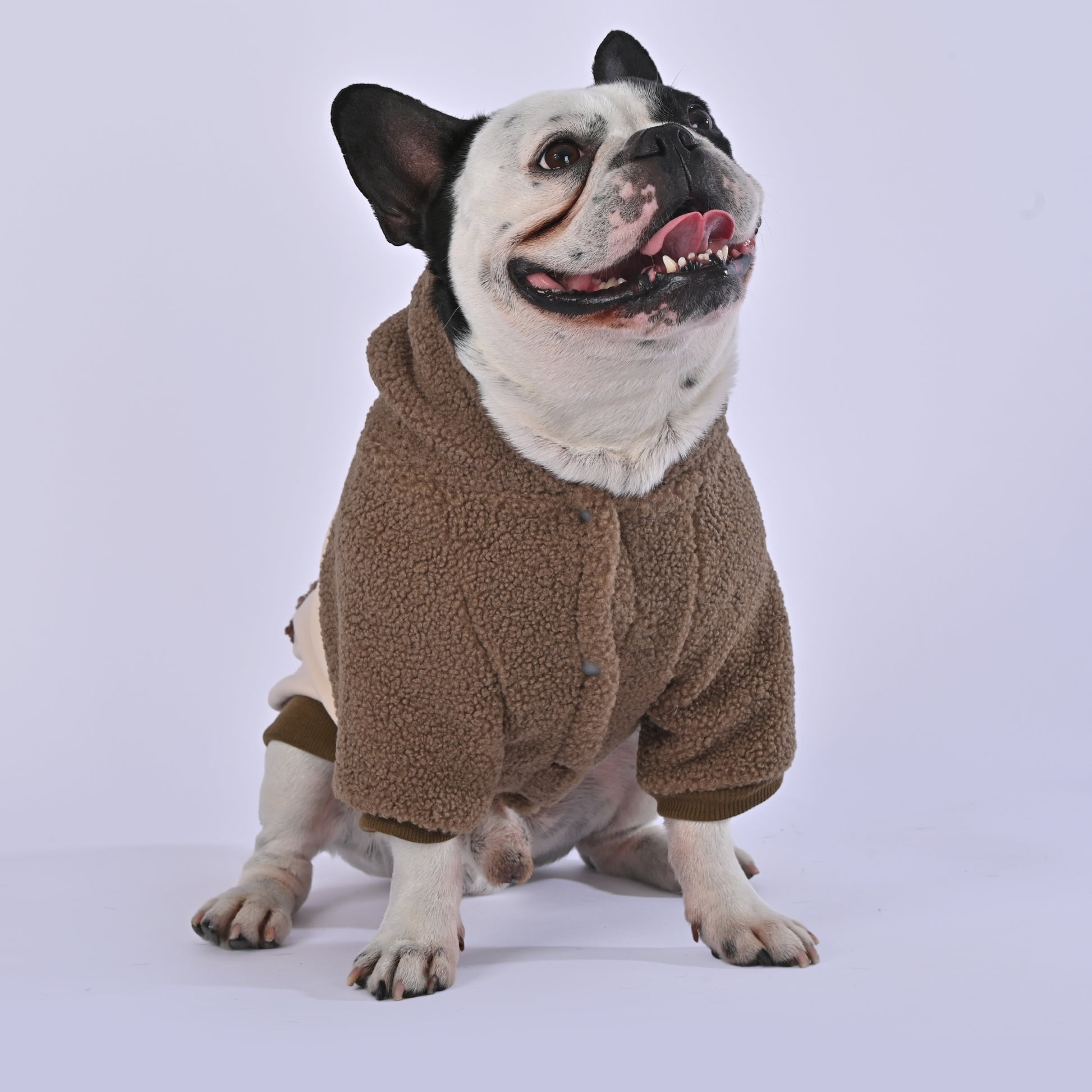 Fluffy Choco Hoodie - Frenchie.us
